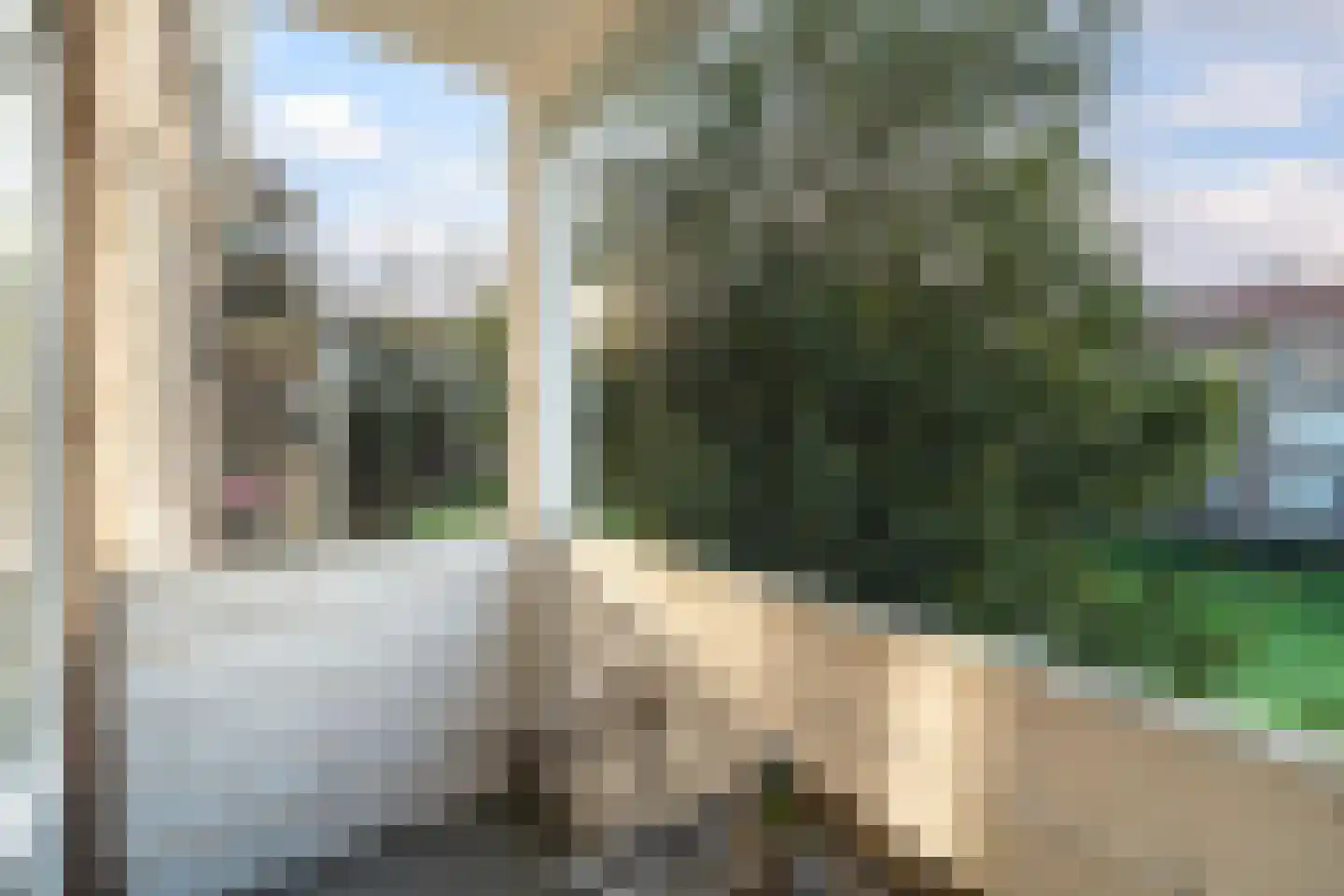 Brussestraat 19 A Rotterdam thumbnail 21