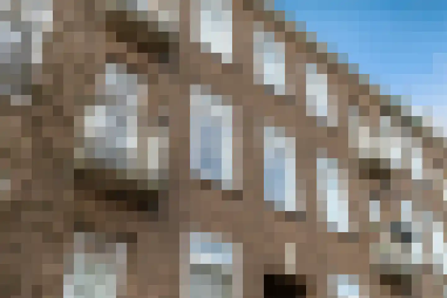 Brussestraat 19 A Rotterdam thumbnail 46
