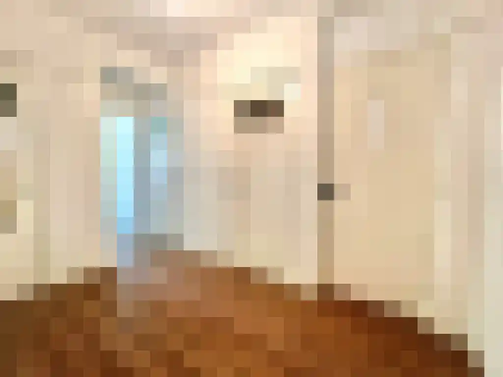 Brussestraat 28 B Rotterdam thumbnail 6