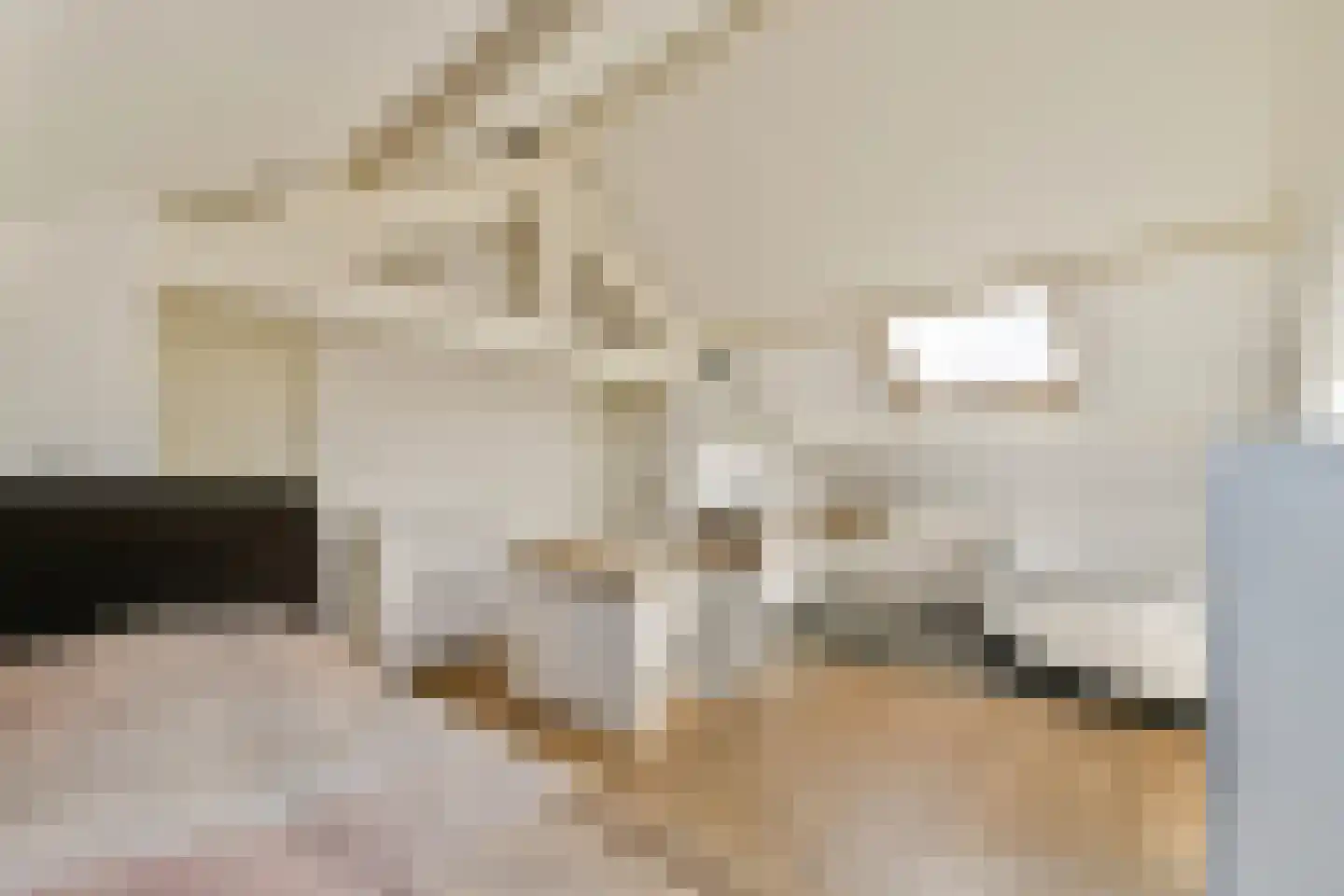 Brussestraat 9 A Rotterdam thumbnail 5