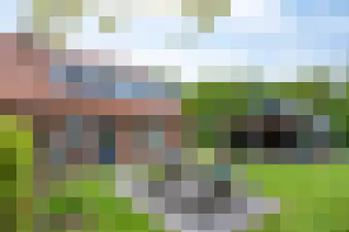 Bruuk 93 Groesbeek thumbnail 10