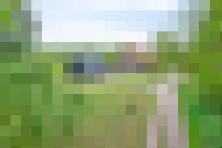Bruuk 93 Groesbeek thumbnail 11