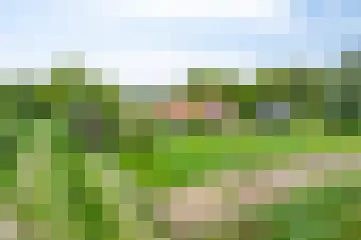 Bruuk 93 Groesbeek thumbnail 12