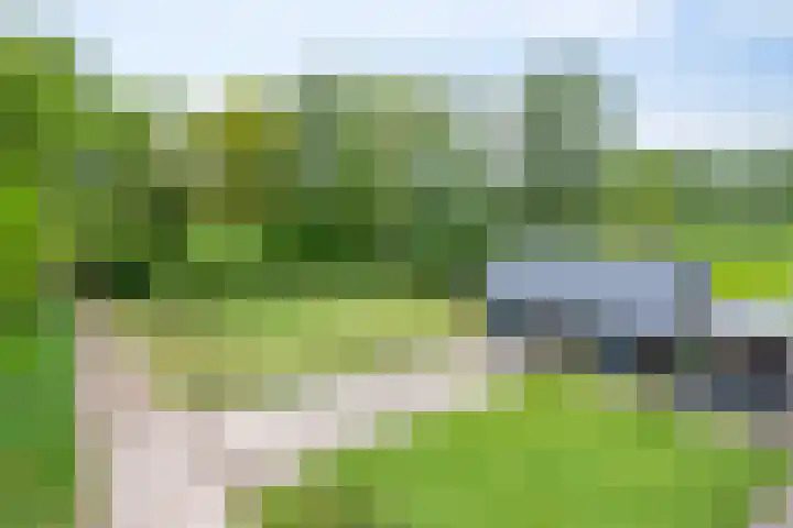 Bruuk 93 Groesbeek thumbnail 13