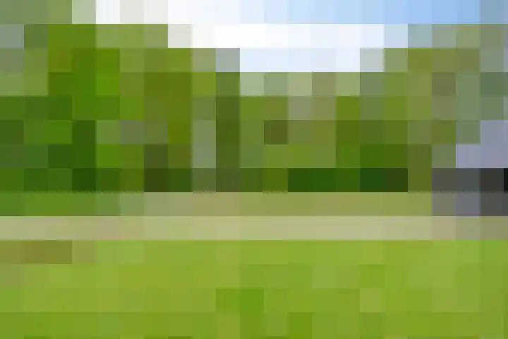 Bruuk 93 Groesbeek thumbnail 14
