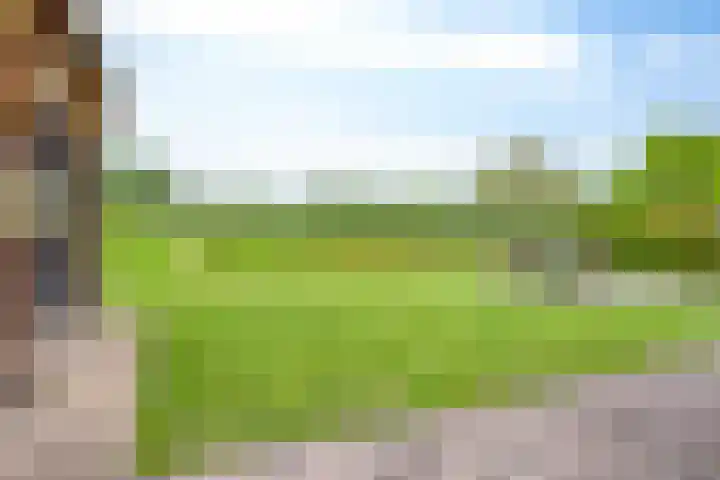 Bruuk 93 Groesbeek thumbnail 15