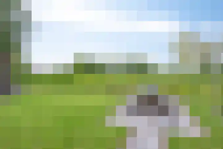 Bruuk 93 Groesbeek thumbnail 16