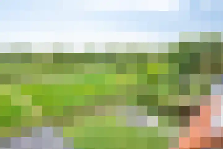Bruuk 93 Groesbeek thumbnail 17