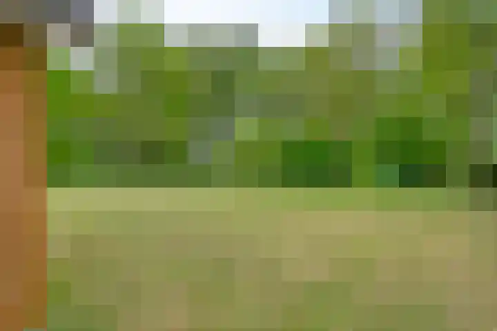 Bruuk 93 Groesbeek thumbnail 18