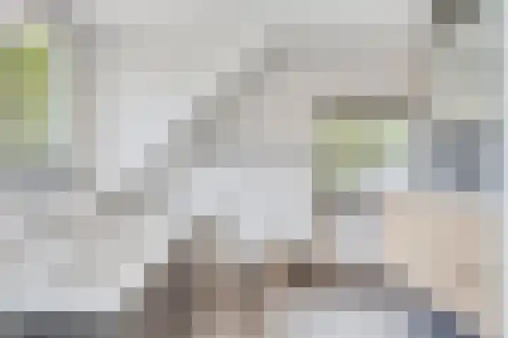 Bruuk 93 Groesbeek thumbnail 37