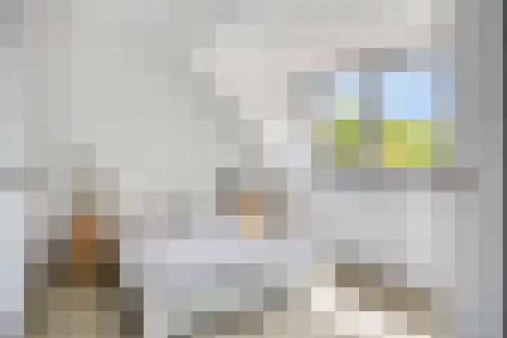 Bruuk 93 Groesbeek thumbnail 44