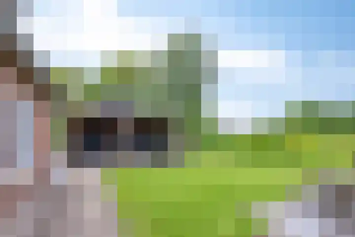 Bruuk 93 Groesbeek thumbnail 50