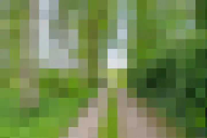 Bruuk 93 Groesbeek thumbnail 51
