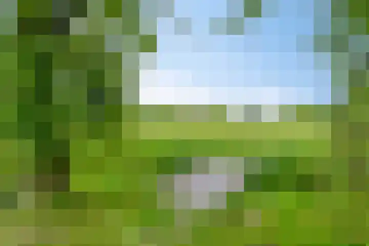 Bruuk 93 Groesbeek thumbnail 52