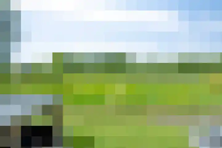 Bruuk 93 Groesbeek thumbnail 53