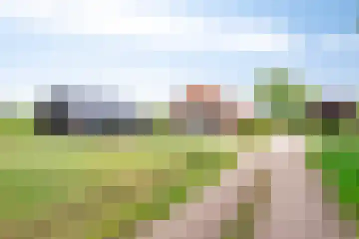 Bruuk 93 Groesbeek thumbnail 57