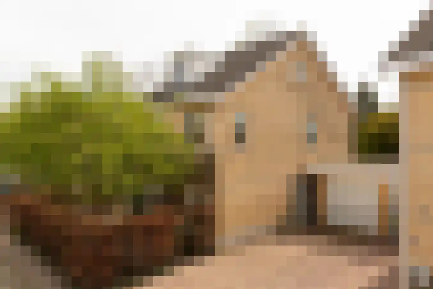 Bruynisstraat 14 Tiel thumbnail 11