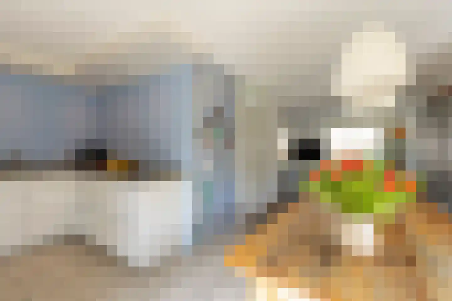Bruynisstraat 14 Tiel thumbnail 27