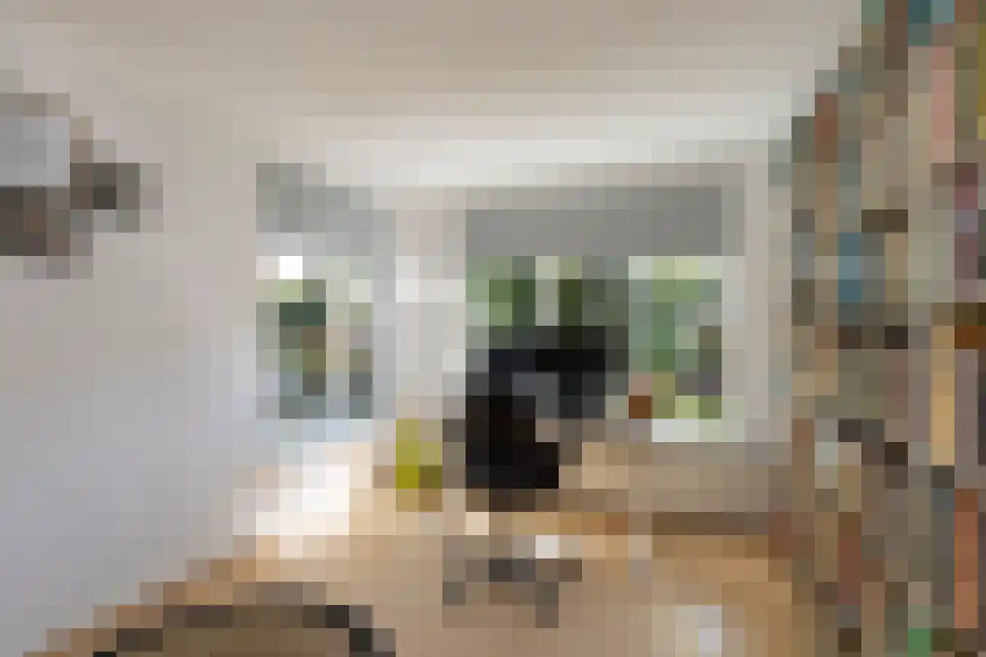 Bruynisstraat 14 Tiel thumbnail 34