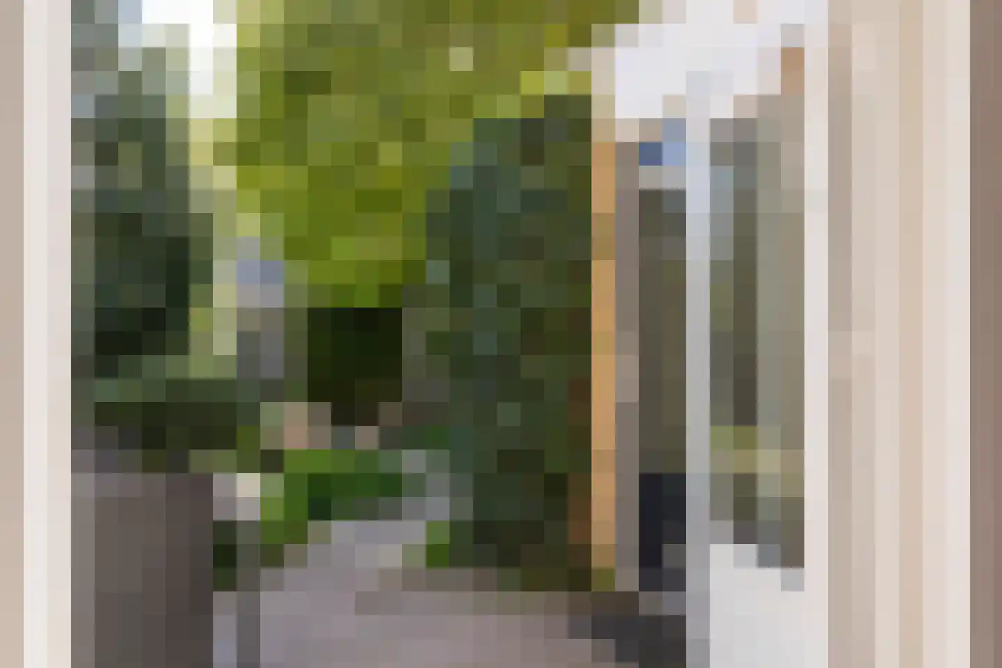 Bruynisstraat 14 Tiel thumbnail 36