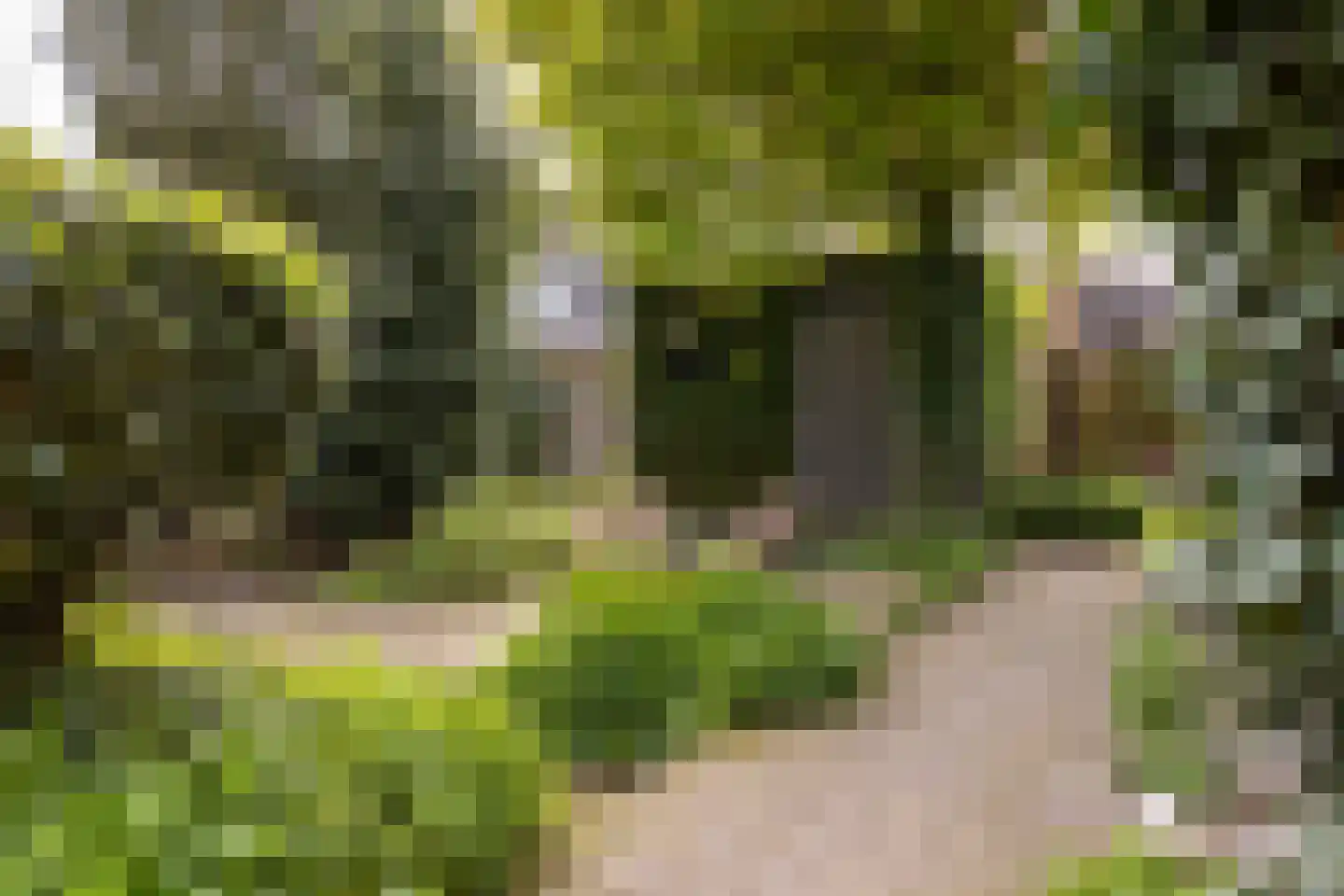 Bruynisstraat 14 Tiel thumbnail 37