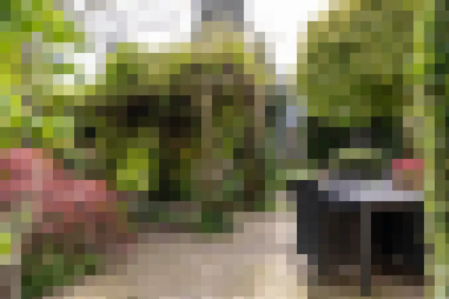Bruynisstraat 14 Tiel thumbnail 38