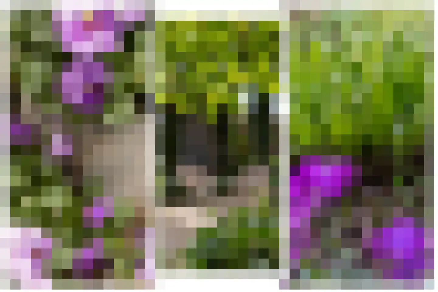 Bruynisstraat 14 Tiel thumbnail 39