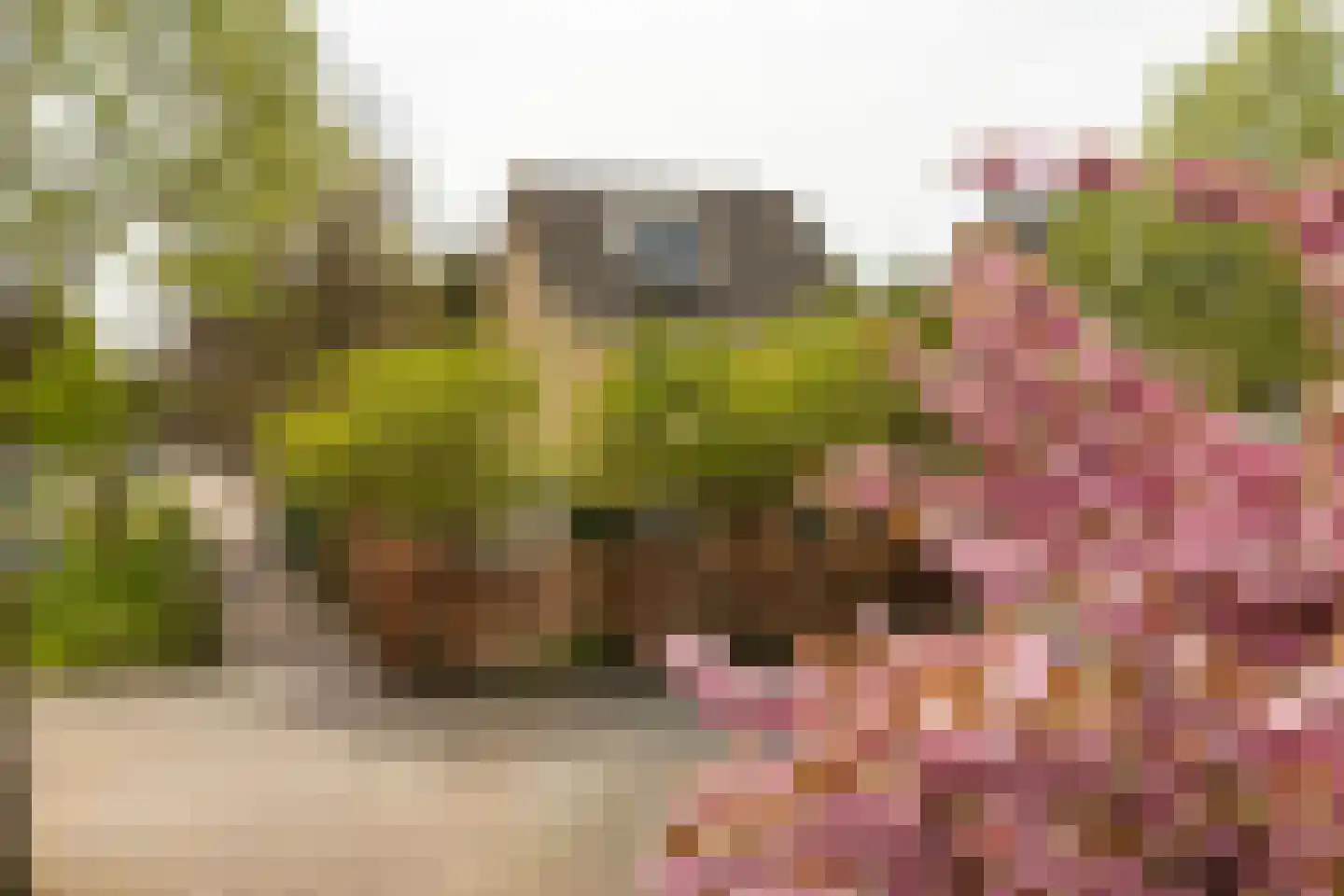 Bruynisstraat 14 Tiel thumbnail 4