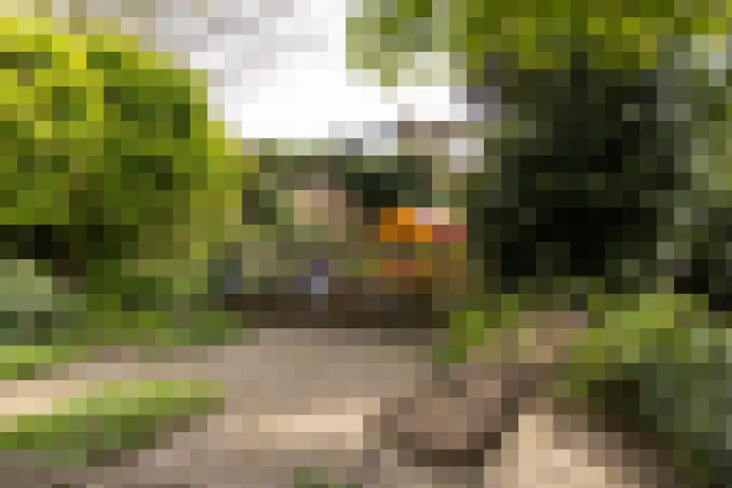 Bruynisstraat 14 Tiel thumbnail 40