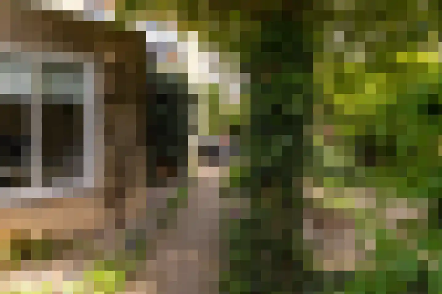 Bruynisstraat 14 Tiel thumbnail 42