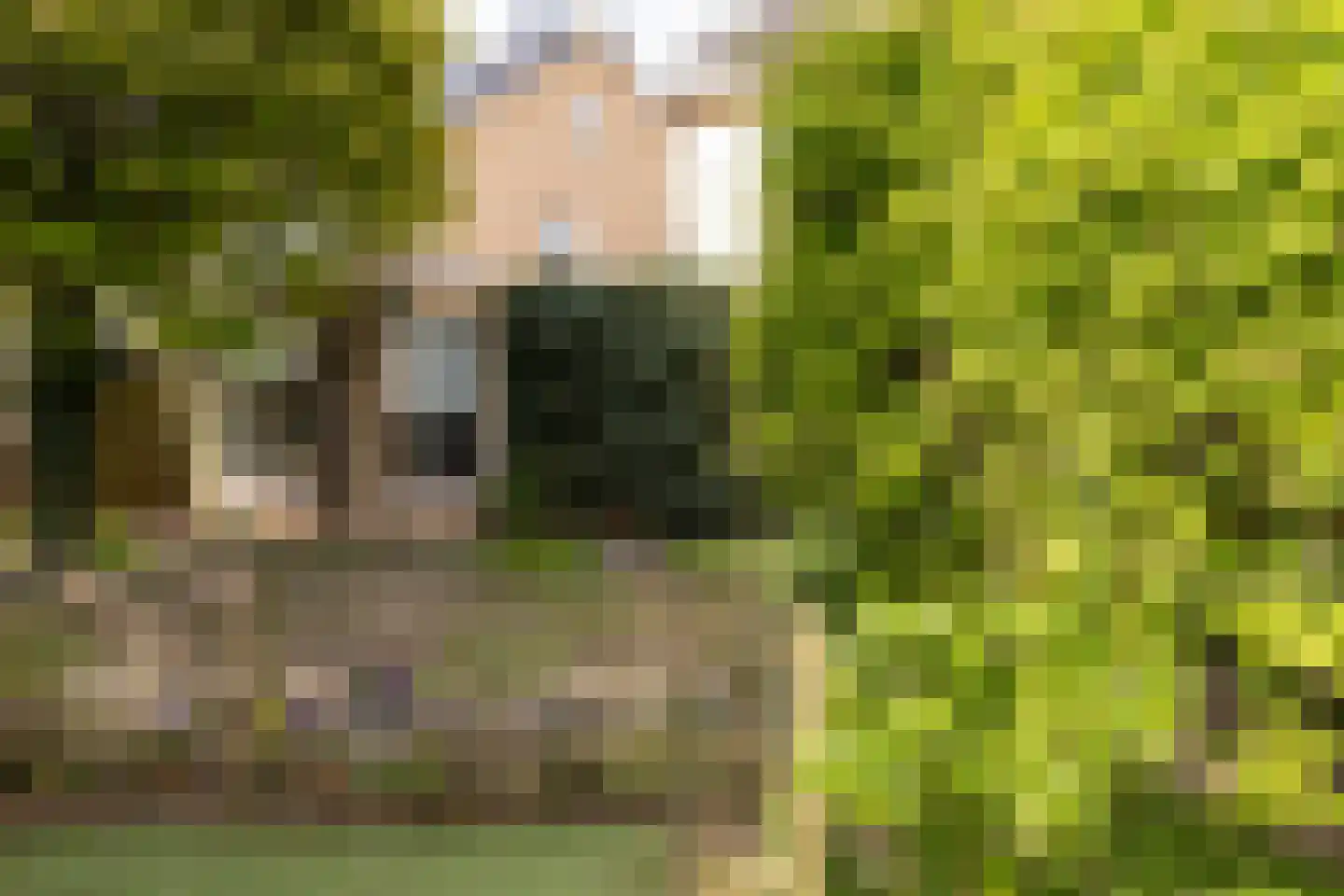 Bruynisstraat 14 Tiel thumbnail 43