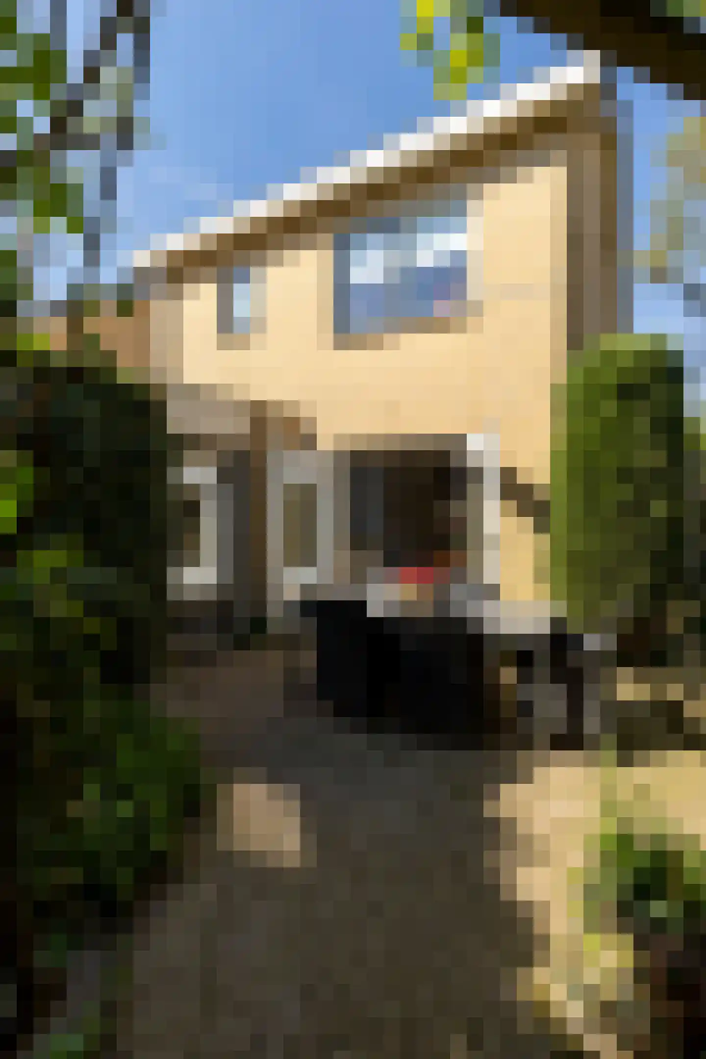 Bruynisstraat 14 Tiel thumbnail 45