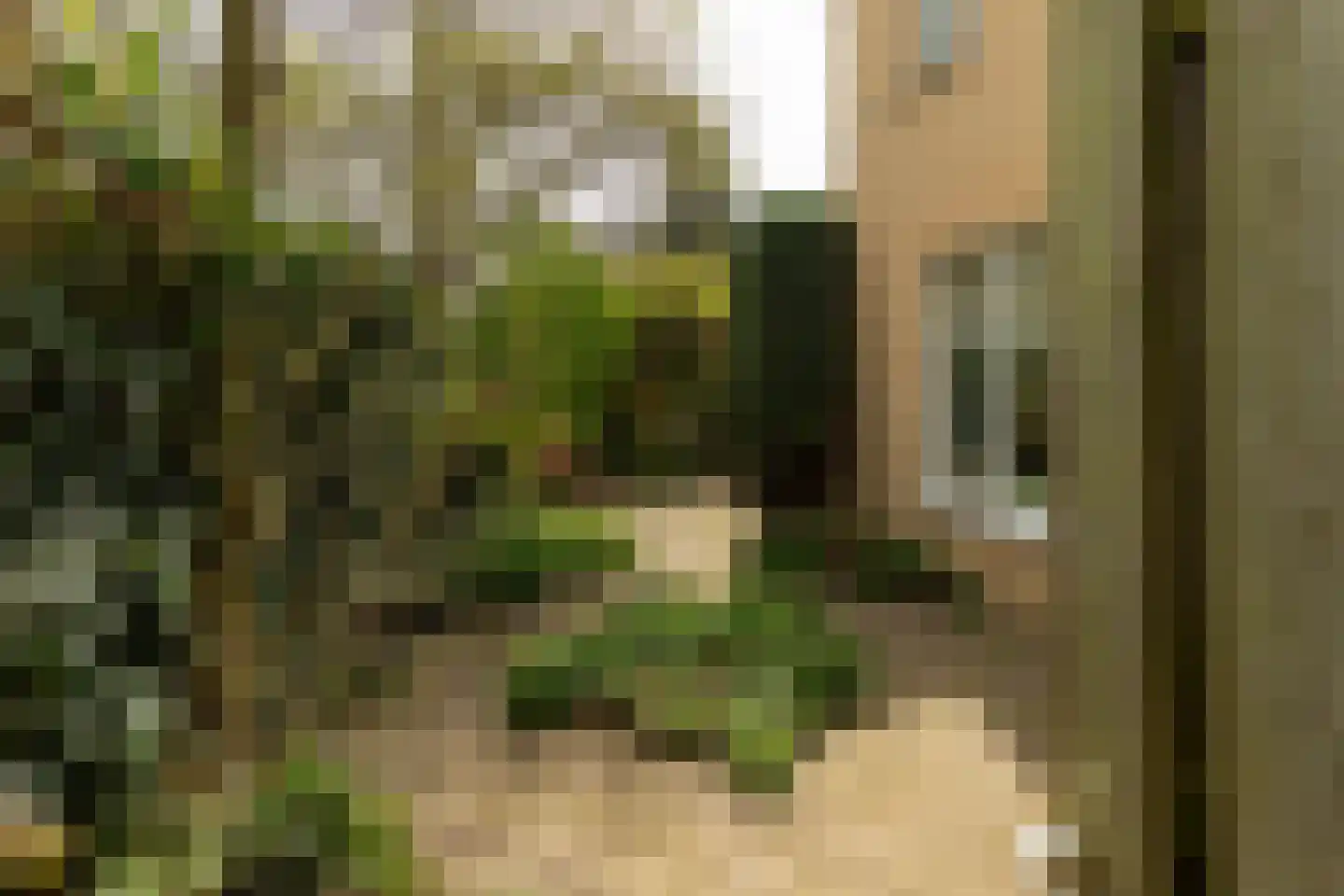 Bruynisstraat 14 Tiel thumbnail 46