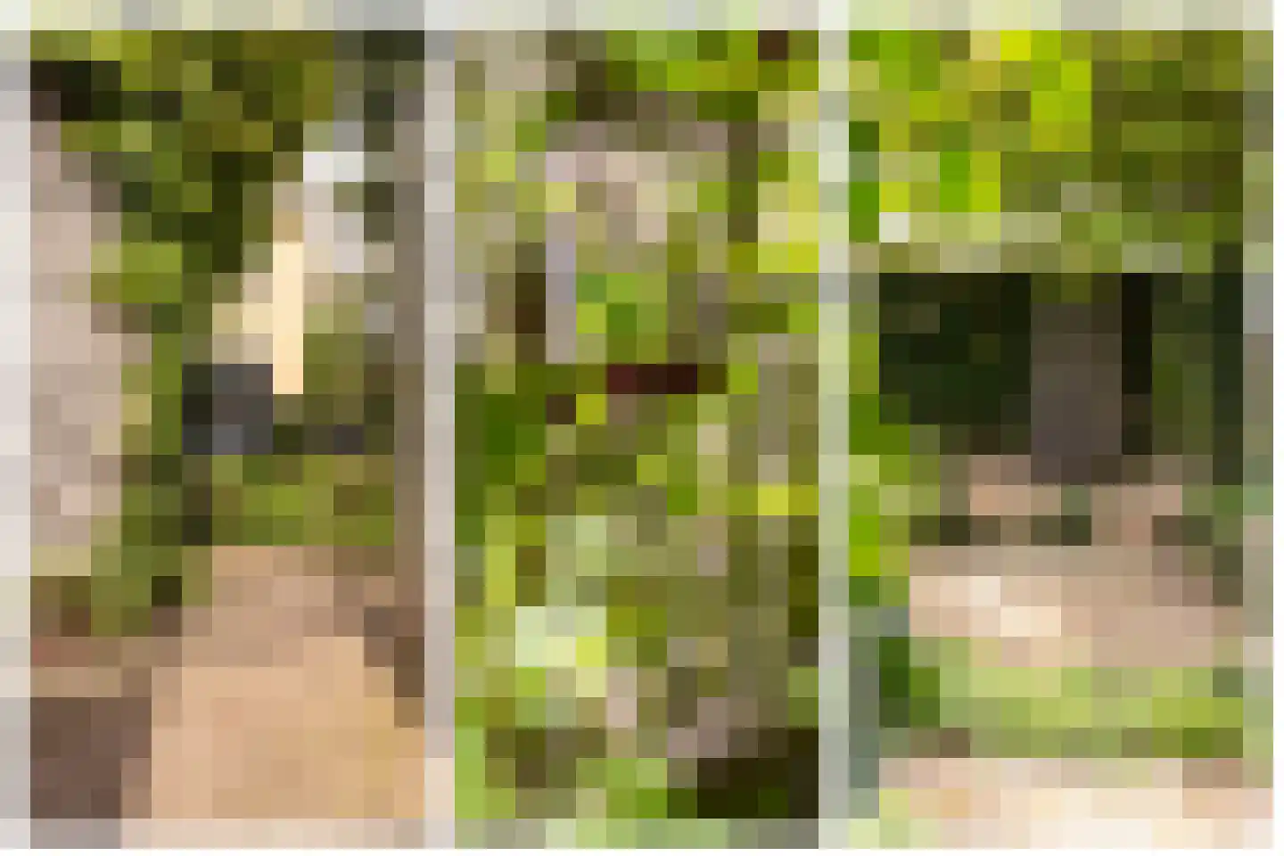 Bruynisstraat 14 Tiel thumbnail 48