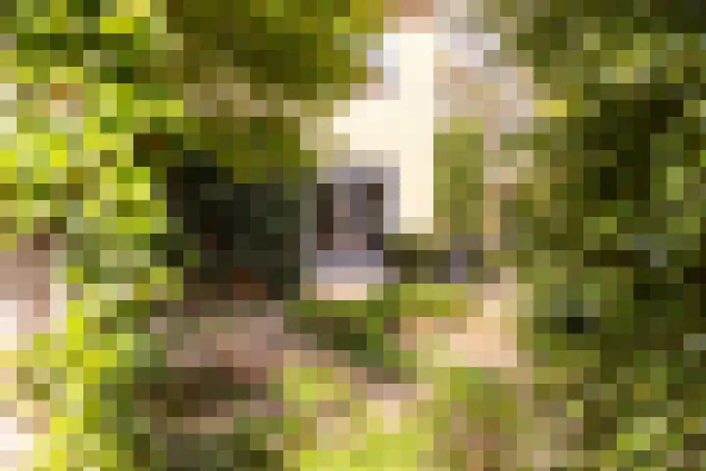 Bruynisstraat 14 Tiel thumbnail 51