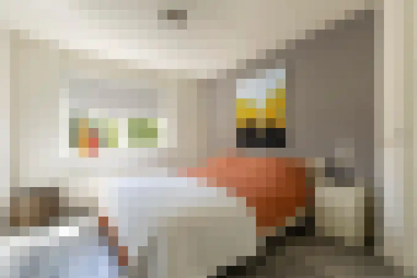 Bruynisstraat 14 Tiel thumbnail 55