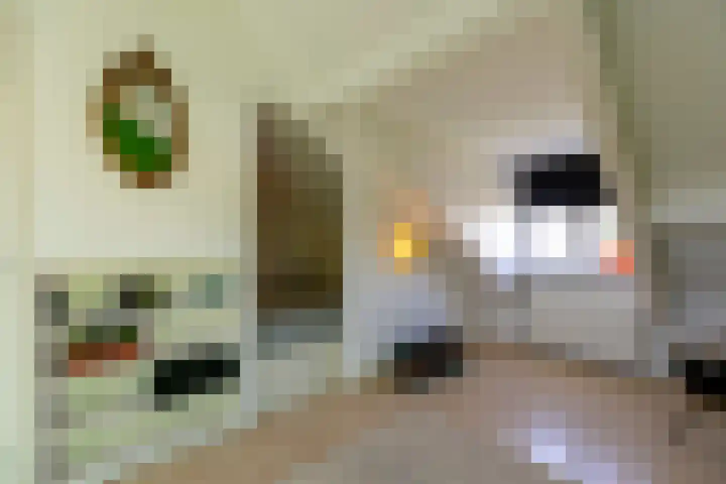 Bruynisstraat 14 Tiel thumbnail 69