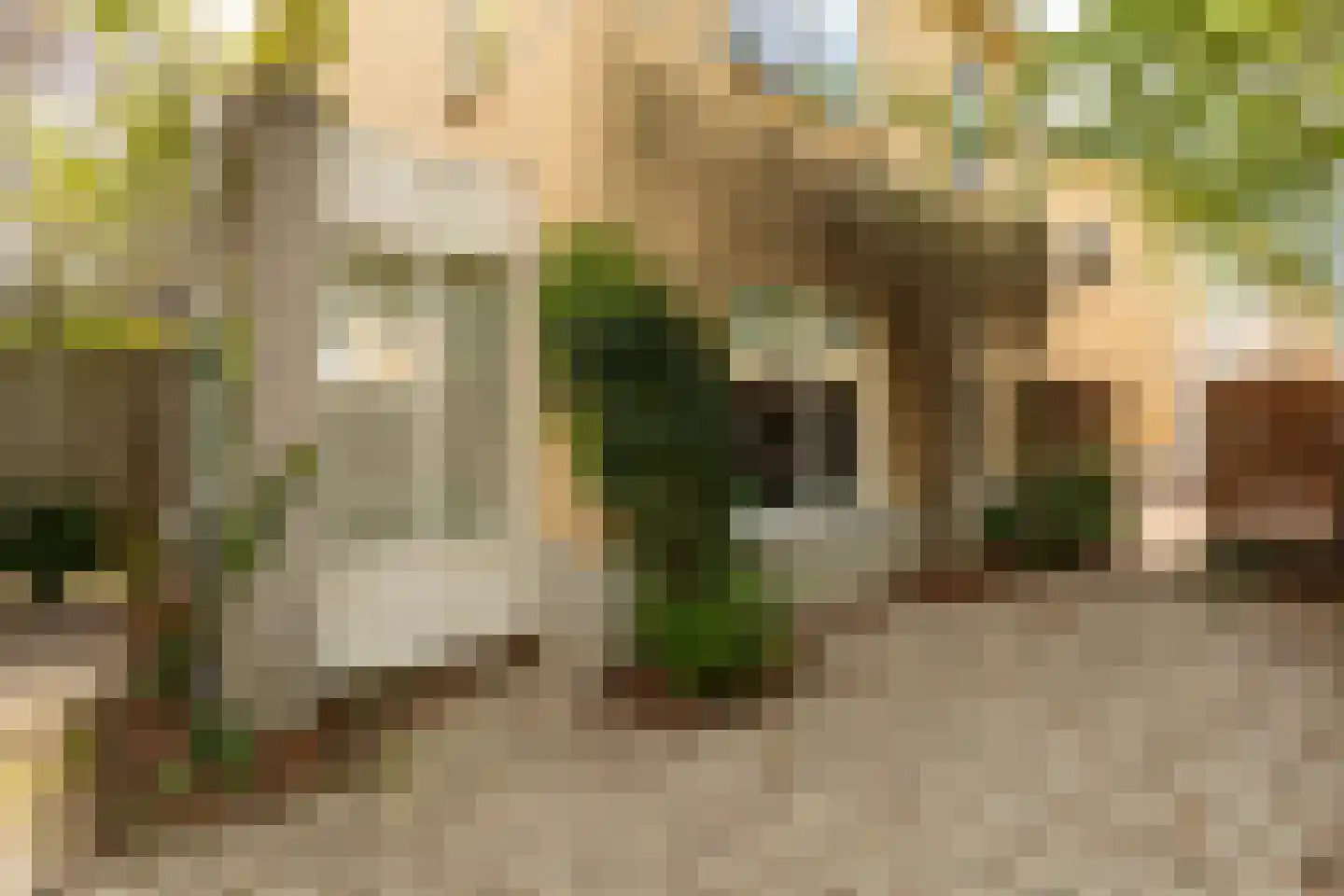 Bruynisstraat 14 Tiel thumbnail 8