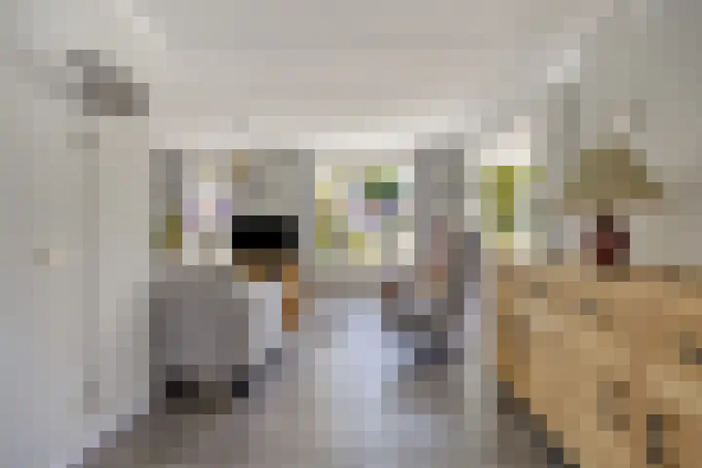 Bruynisstraat 17 Tiel thumbnail 10