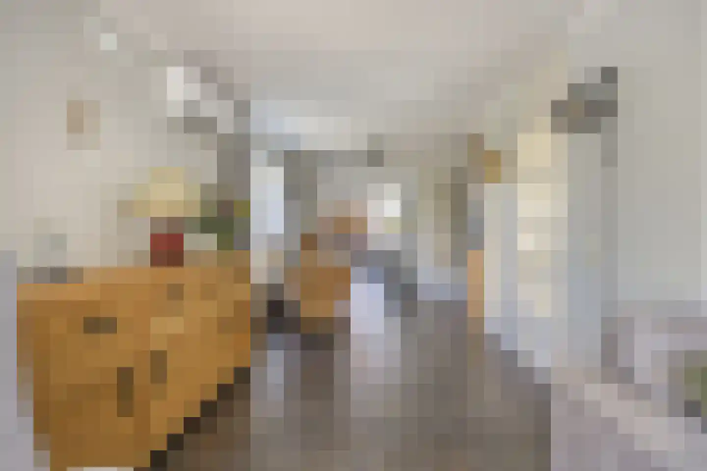 Bruynisstraat 17 Tiel thumbnail 13