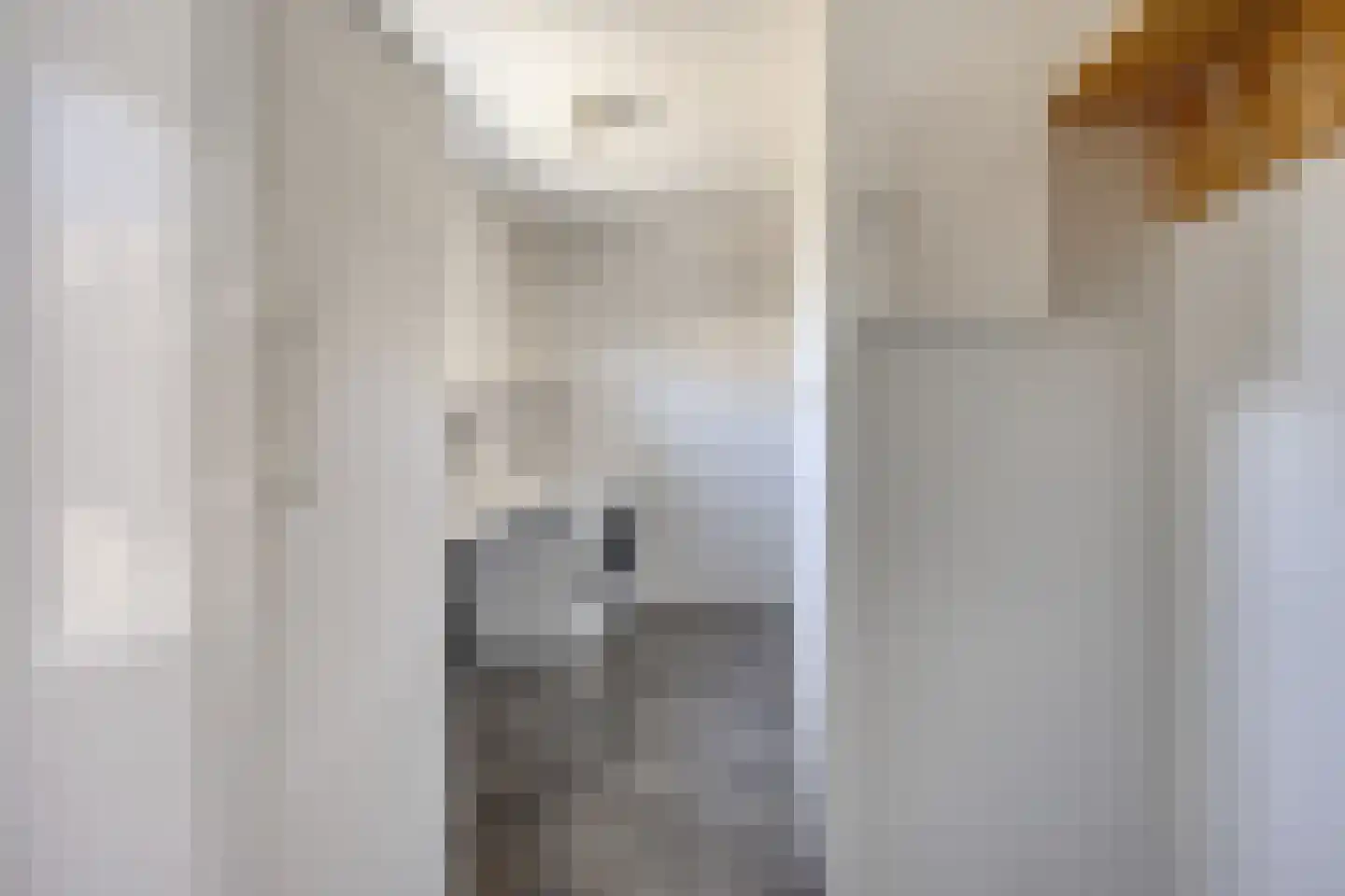 Bruynisstraat 17 Tiel thumbnail 23
