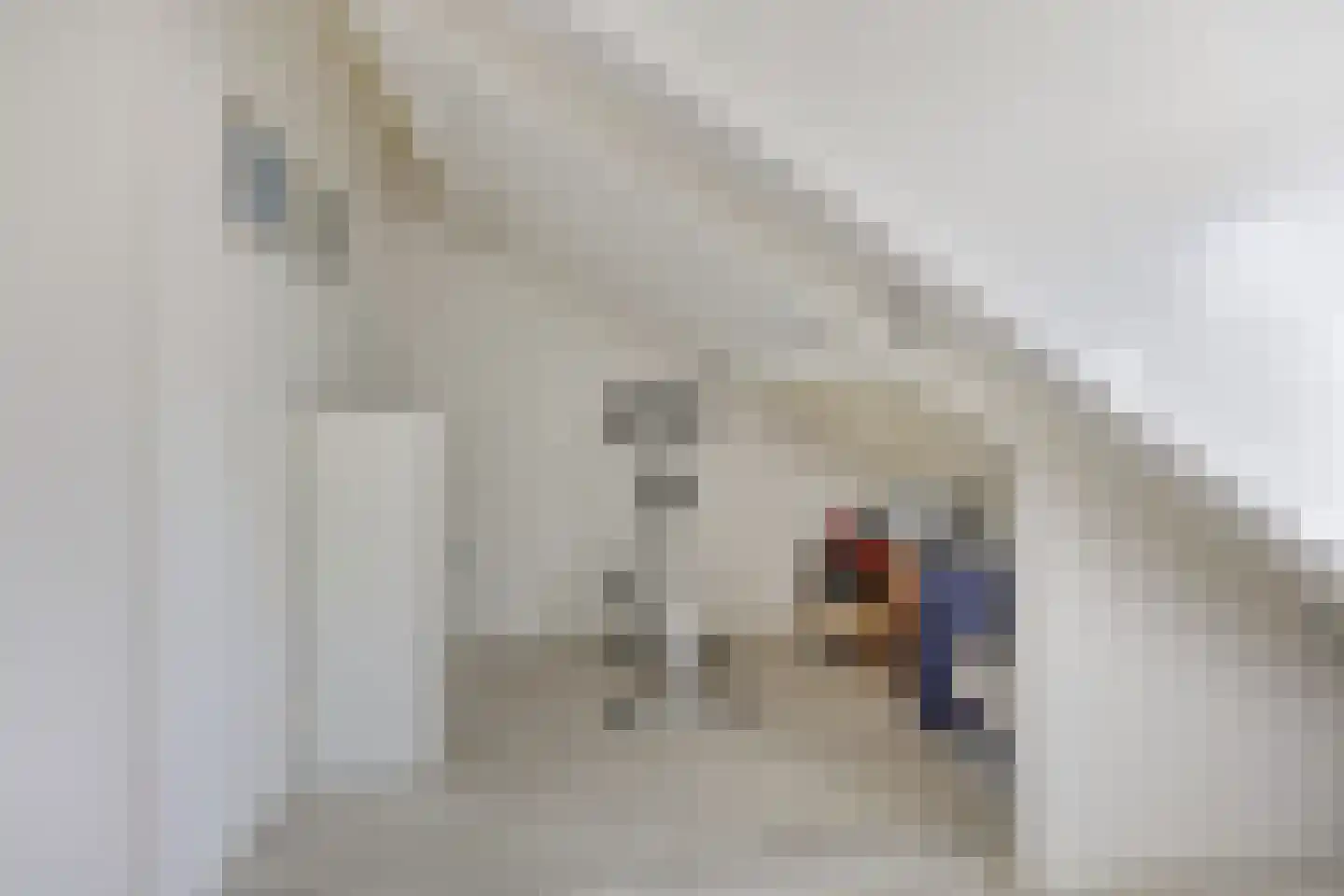 Bruynisstraat 17 Tiel thumbnail 41