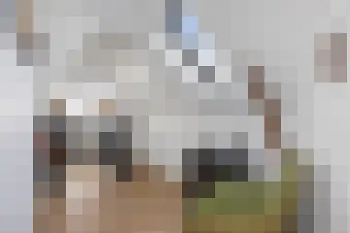 Bruynssteeg 28 C Deventer thumbnail 6
