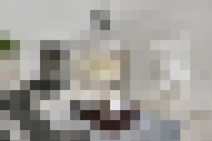 Bruysterbosch 5 Maastricht thumbnail 5