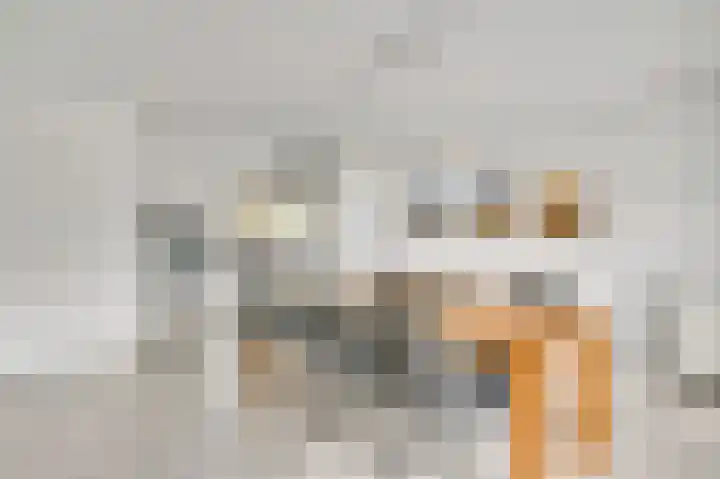 Bruysterbosch 5 Maastricht thumbnail 7