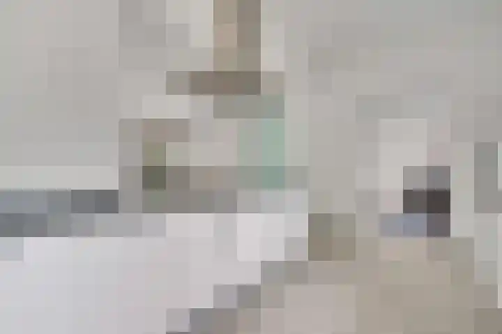 Bruysterbosch 5 Maastricht thumbnail 8