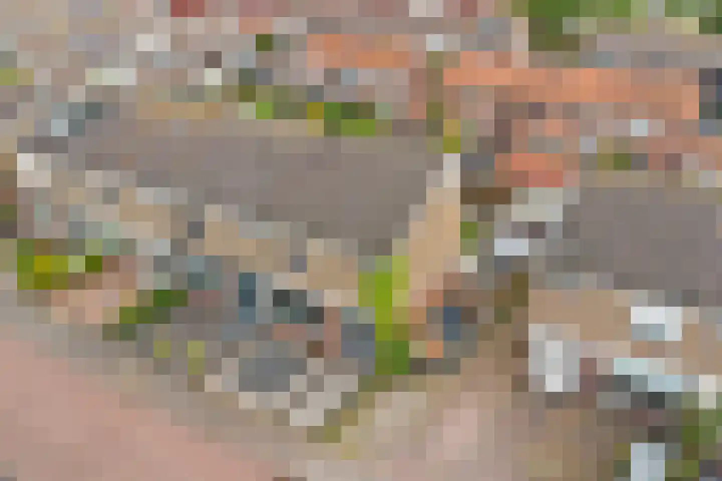 Bryhoekstraat 20 Hellevoetsluis thumbnail 5