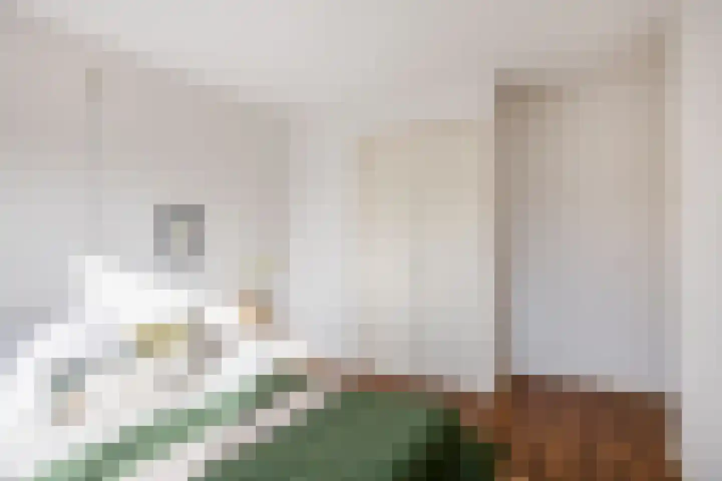 Bryhoekstraat 6 Hellevoetsluis thumbnail 31