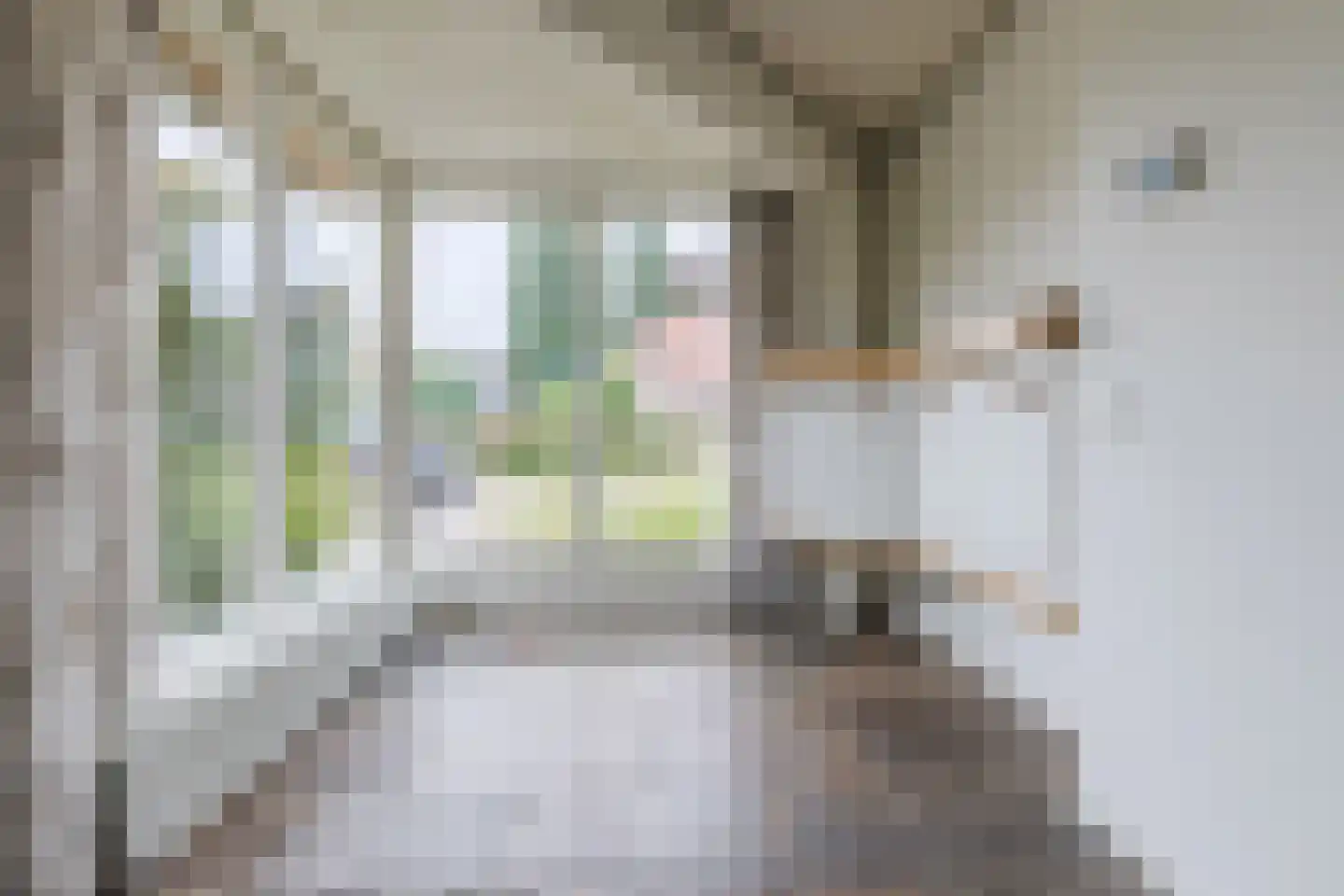 Bucht 14 Bergeijk thumbnail 11