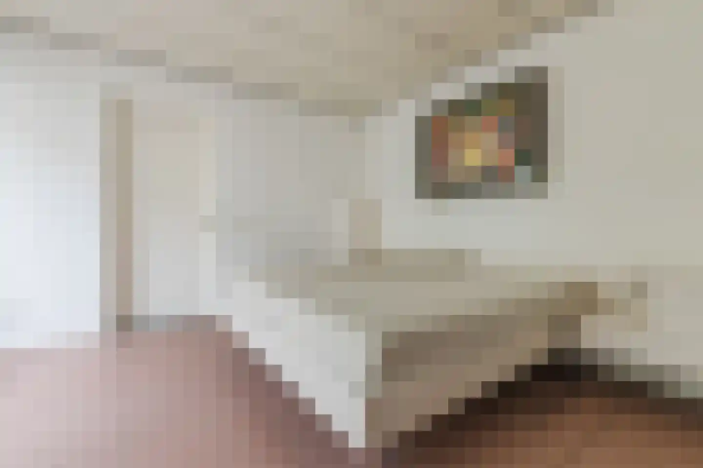 Bucht 14 Bergeijk thumbnail 24